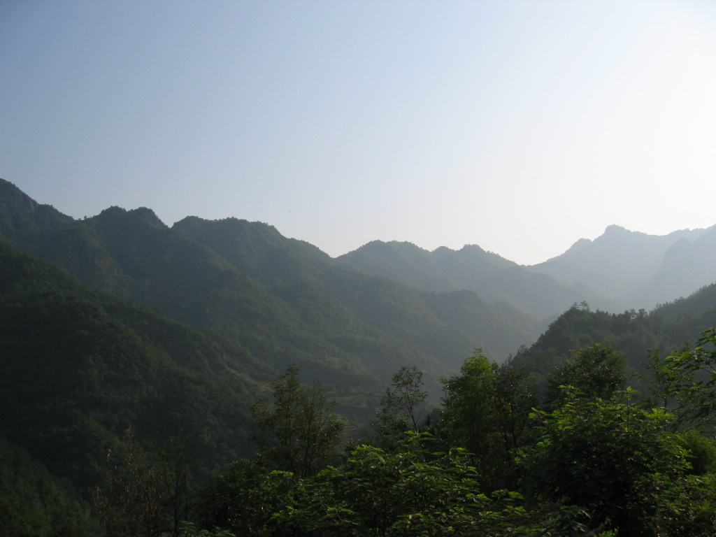 青山悠悠.JPG