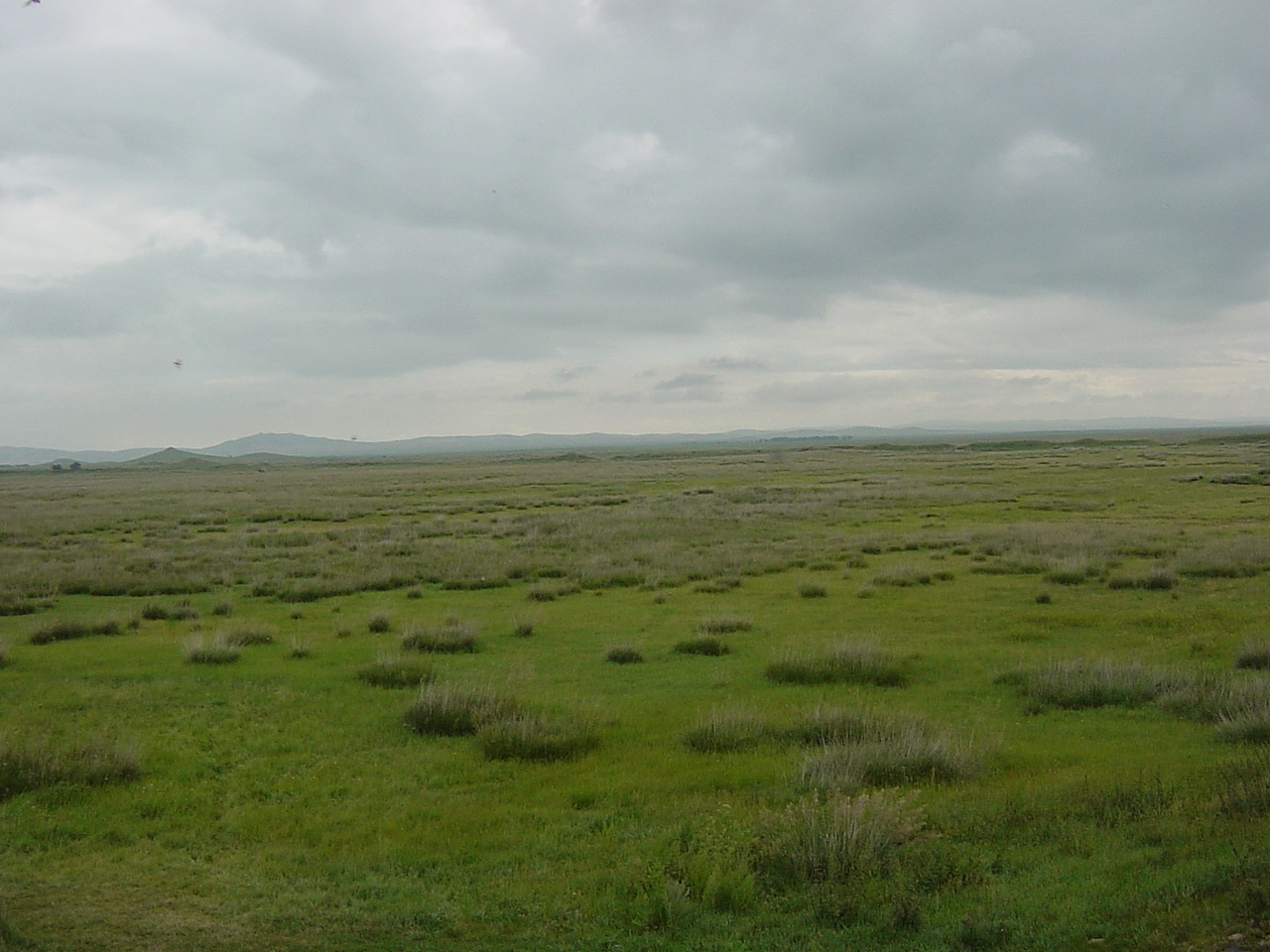 DSC05432.JPG