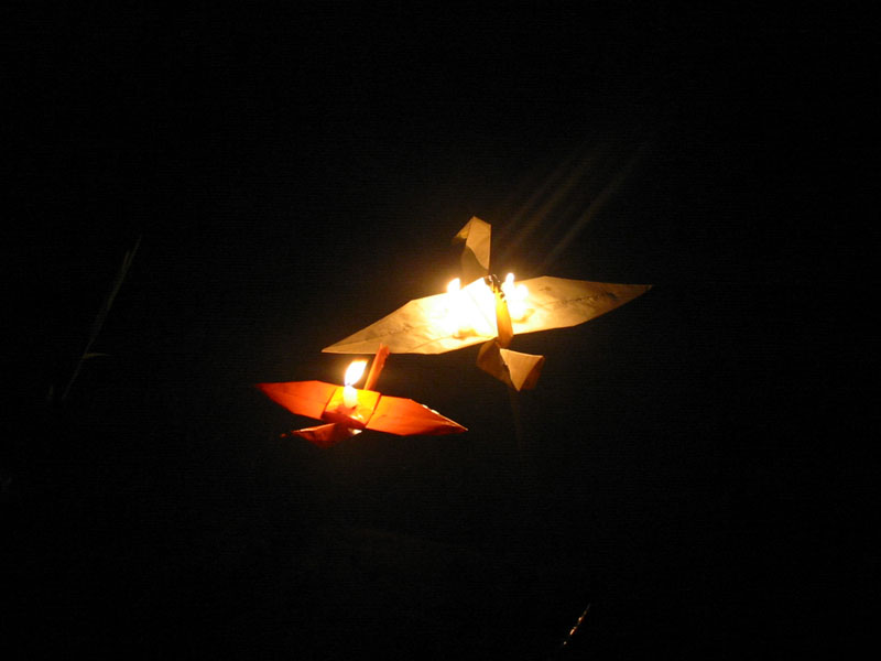 20059229445444496--2.jpg