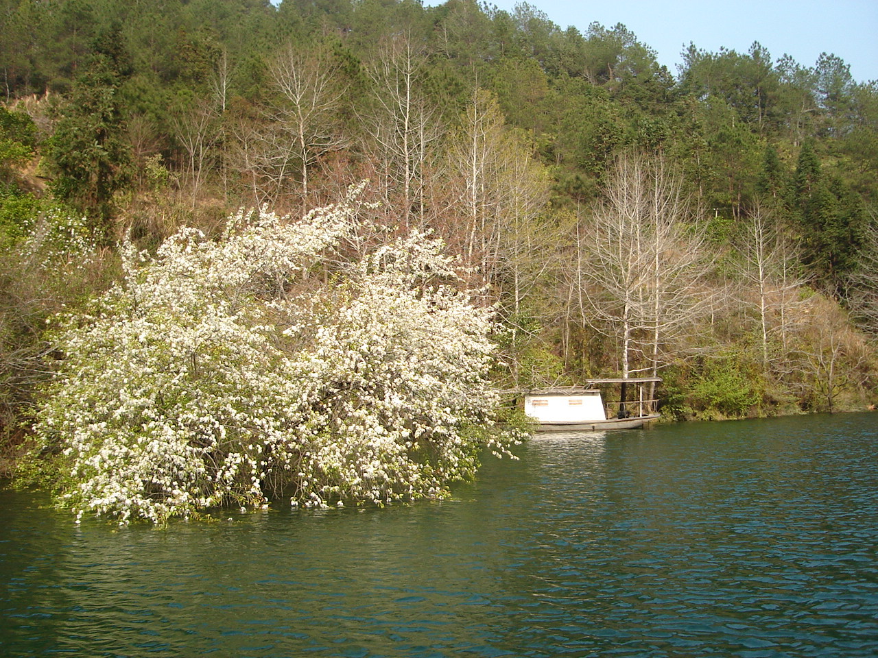 DSC00044.JPG