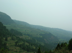 DSCN8975.JPG