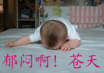 1530085.gif