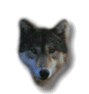 978058.gif