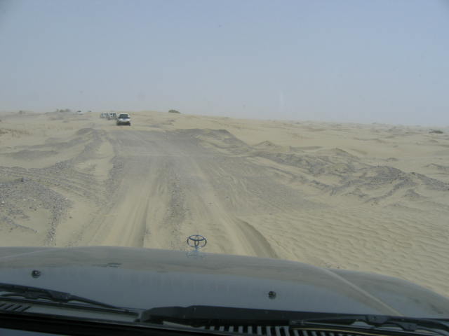 IMG_5858.JPG