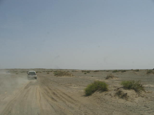 IMG_5868.JPG