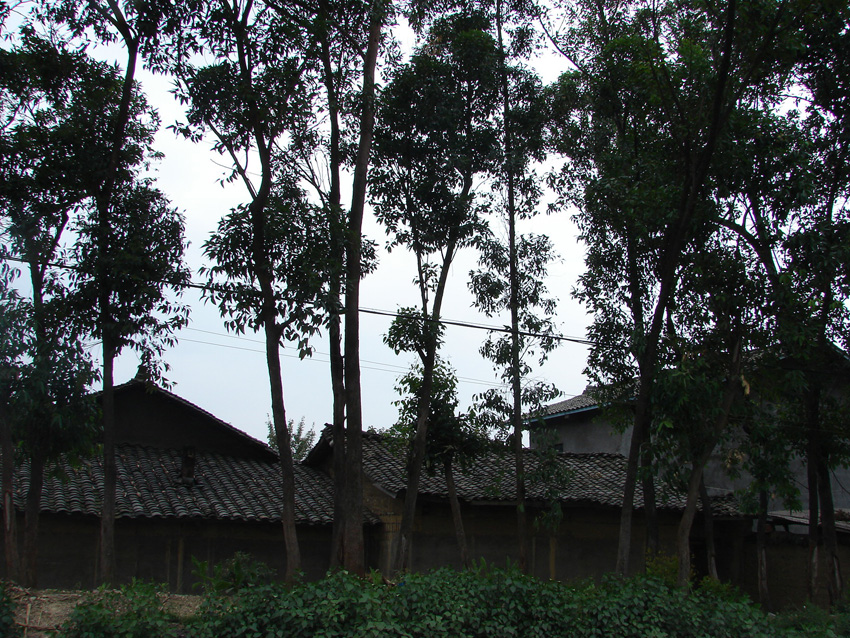 DSC01782.jpg