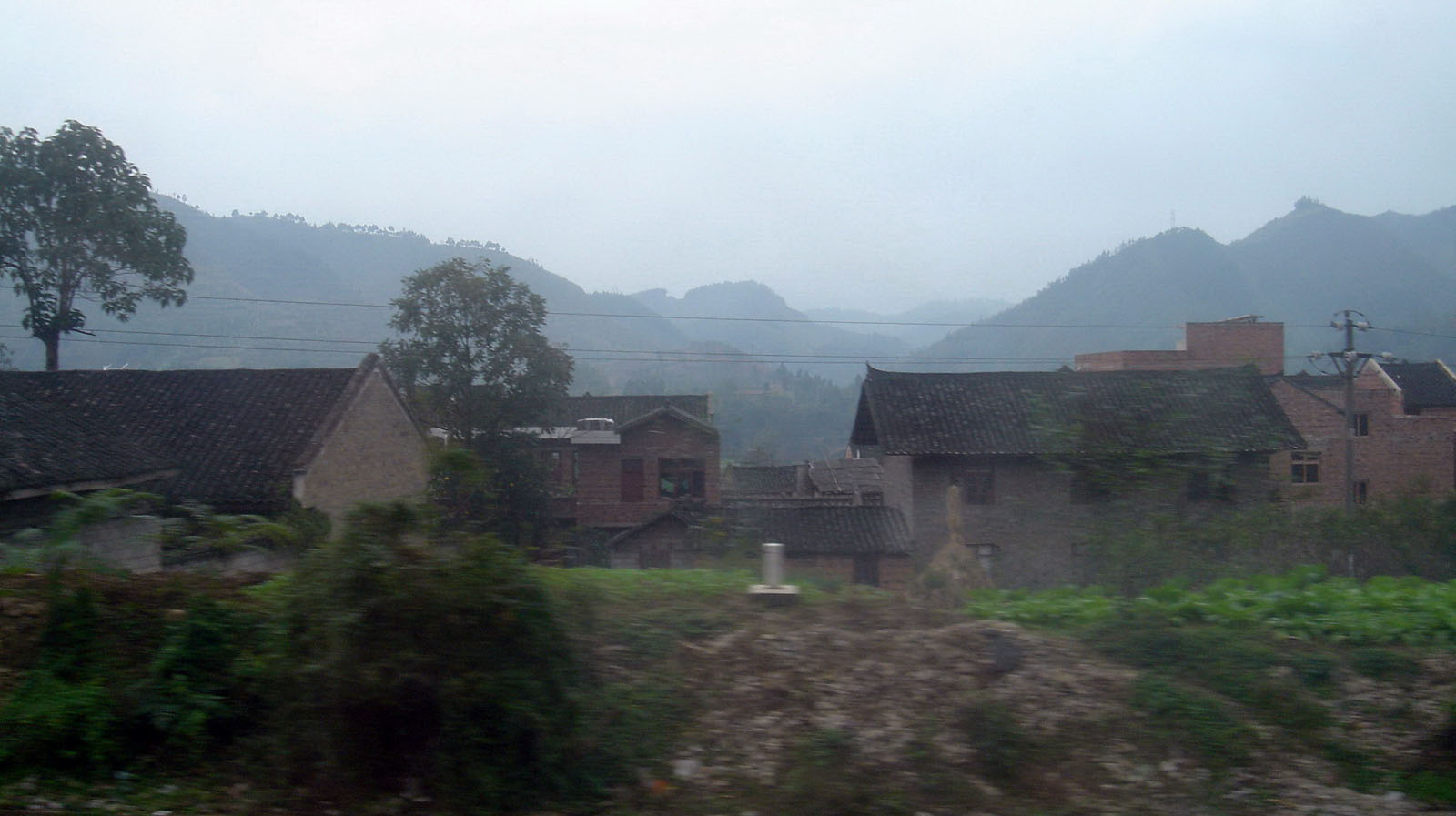 DSC02585.jpg