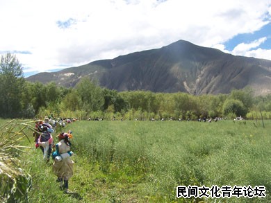 2009年调查西藏山南桑耶寺镇的望果节.JPG